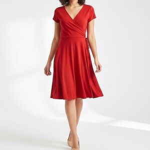 Chadwicks V Neck Fit &Flare Midi Stretch Swing Short Sleeve Dress Size 2p Petite